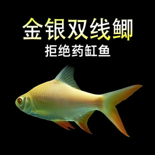 ���y�p���a�~���P�y�P�Ꭷ�^�p�~��Ʒ�д��͌ӵ�ˮ�~̩�����w���B