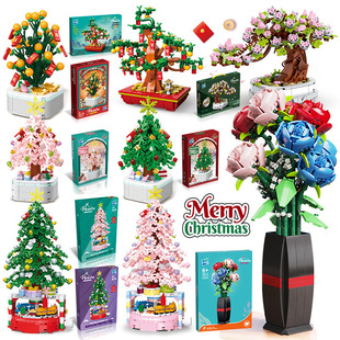 Դ�^�S�҃�ͯ����ƴ�bС�w���eľ�������}�Q����Ә����Էeľ���
