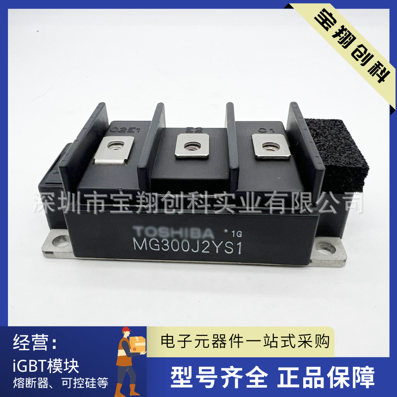 MG300J2YS1 MG200J2YS1 MG150J2YS1 MG100J2YS1 MG75J2YS1模块