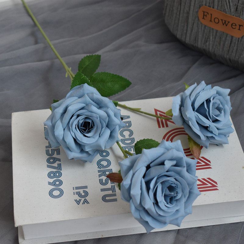 다이아몬드 로즈 직경 10cm