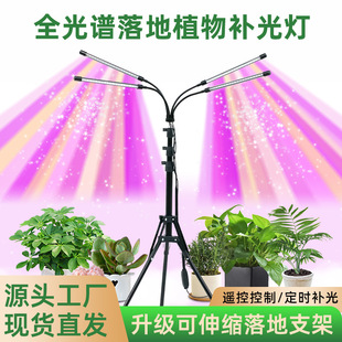 Plant Supplementary Light Indoor Succulent Flower Growth Lamp with Remote Control and Timed Growth Function