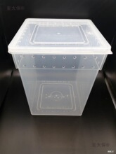 白蛐蛐油葫芦蟋蟀爬虫箱树蛙勾亚蜥蜴饲养箱活体饲料睫角盖麦太保