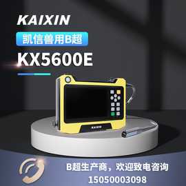 凯信便捷式KX5600E 牛用B超测孕仪 动物孕检设备