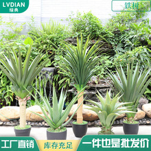 北欧仿真绿植皇冠兰造景盆栽植物装饰室内热带景观软胶剑兰龙血铁