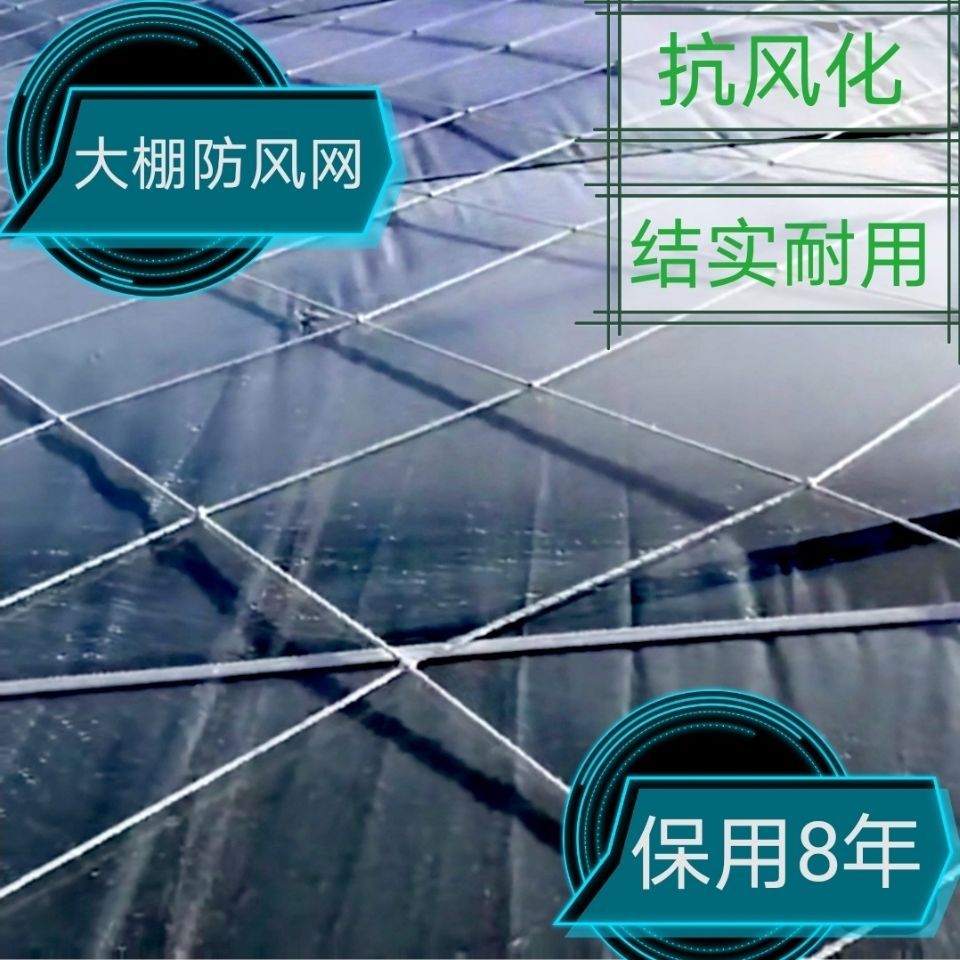 货物种植盖垛大棚防风网防护网尼龙网大孔压膜绳网挡风网大棚网子|ru