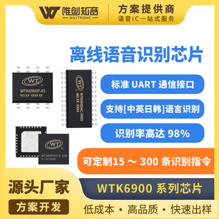 WTΨ��AI�����x���Z������оƬ�Z���R�eоƬ��оƬWTK6900ϵ��