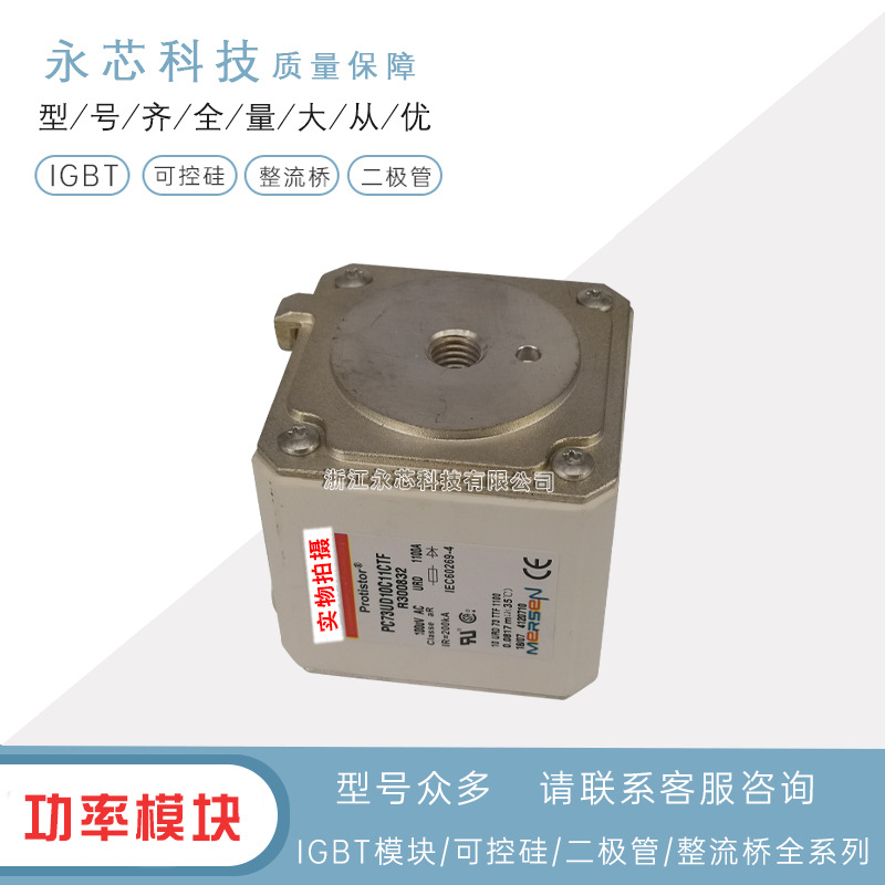 全新双连体熔断器快速保险丝PC73GB69V550D1A	R302672质量保障