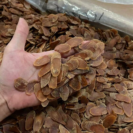 Factory wholesale Jilin red ginseng slices whole slice bulk Changbai mountain red ginseng slices foot dry large piece of a generation of hair