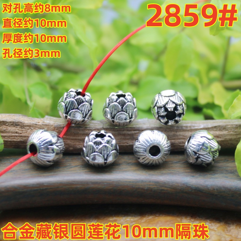 2859magpie (3)