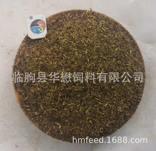 �S�ҹ���ľ���� �O���� ����O����ɽ����