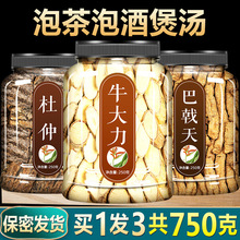 牛大力巴戟天杜仲中药材新鲜野生级500g粉根干货汤包巴戟干泡酒