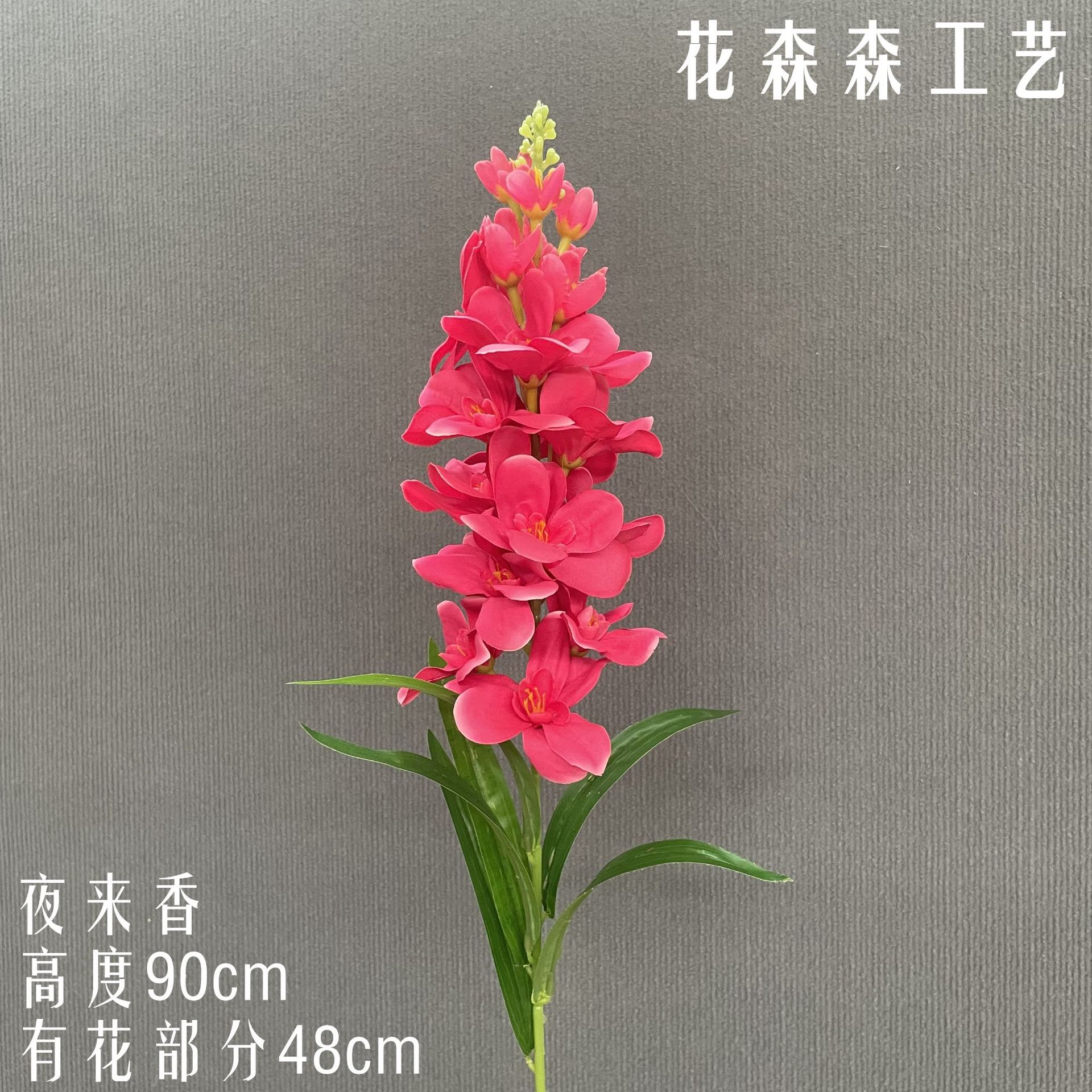 저녁 앵초 201138