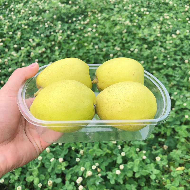 IMG_0240(20210512-173724)_副本.j