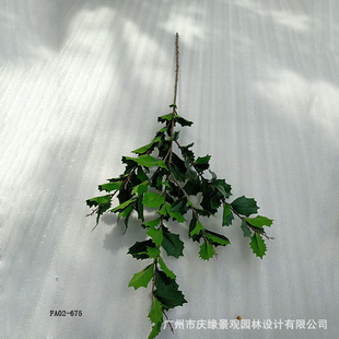 仿真枸骨叶冬青叶子树枝猫儿刺老虎刺叶塑料叶子工程灌木树叶枝假-阿里巴巴
