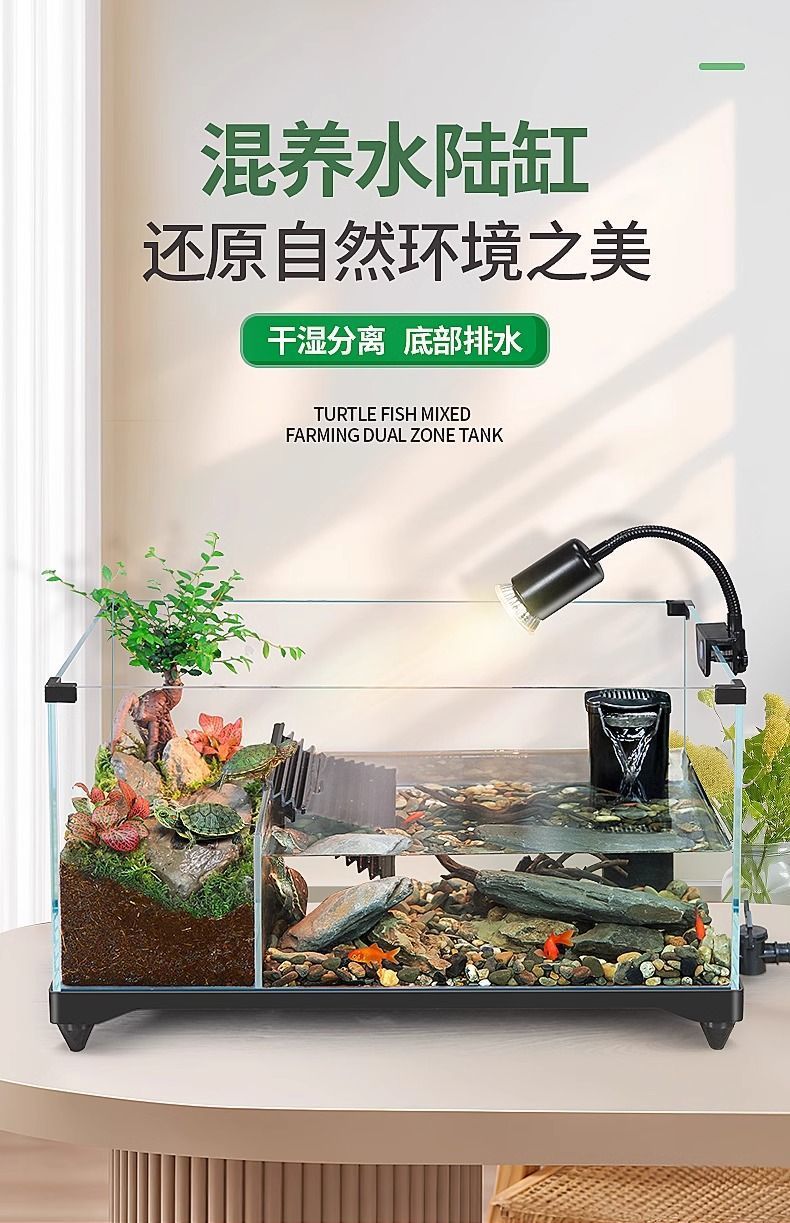 43551bd6-8d8a-4e33-a49e-dc463c31e0a1.jpe