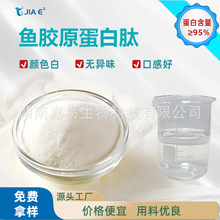 鱼胶原蛋白肽粉食品级深海鱼小分子胶原蛋白肽固体饮料肽粉