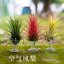 �՚��P��o��ֲ�����ֲ���҃ȃ����՚�����ȩ����[���辰���B��