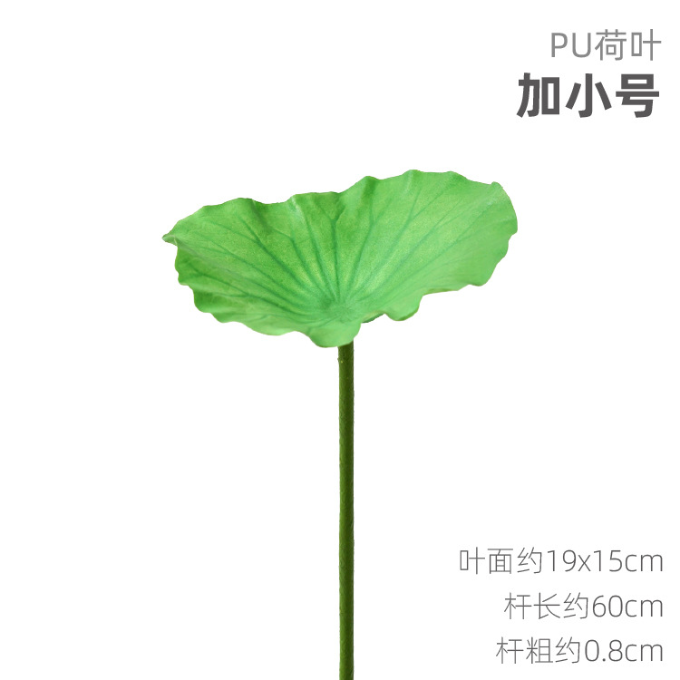 PU hoja de loto más trompeta