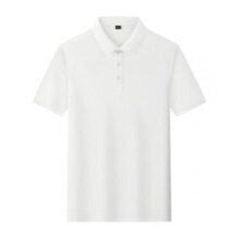 ����������polo��������ӡlogo��ҵչ����幤���Ŀ��Ļ���