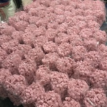 �����Y�_˾�׌����� ��β��ë�� ��ë��ë�� ���b�o�����