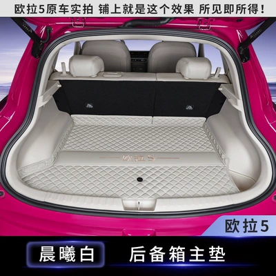 26 New Model Ora 5 Trunk Mat Full Surround Car Interior Modification Decorative Accessories Trunk Mat (Trunk Mat) - dawn-whitetrunk-main-mat-euler-5-upper-layer