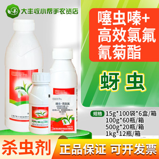 �Ϻ��� ����22%���x&middot;���ȷ��������xā�x���x�����x��rș���l