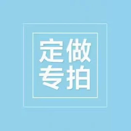 连衣裙;女式T恤;女式卫衣