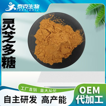 灵芝多糖50% 破壁灵芝袍子粉 灵芝粉灵芝三萜灵芝提取物 现货包邮