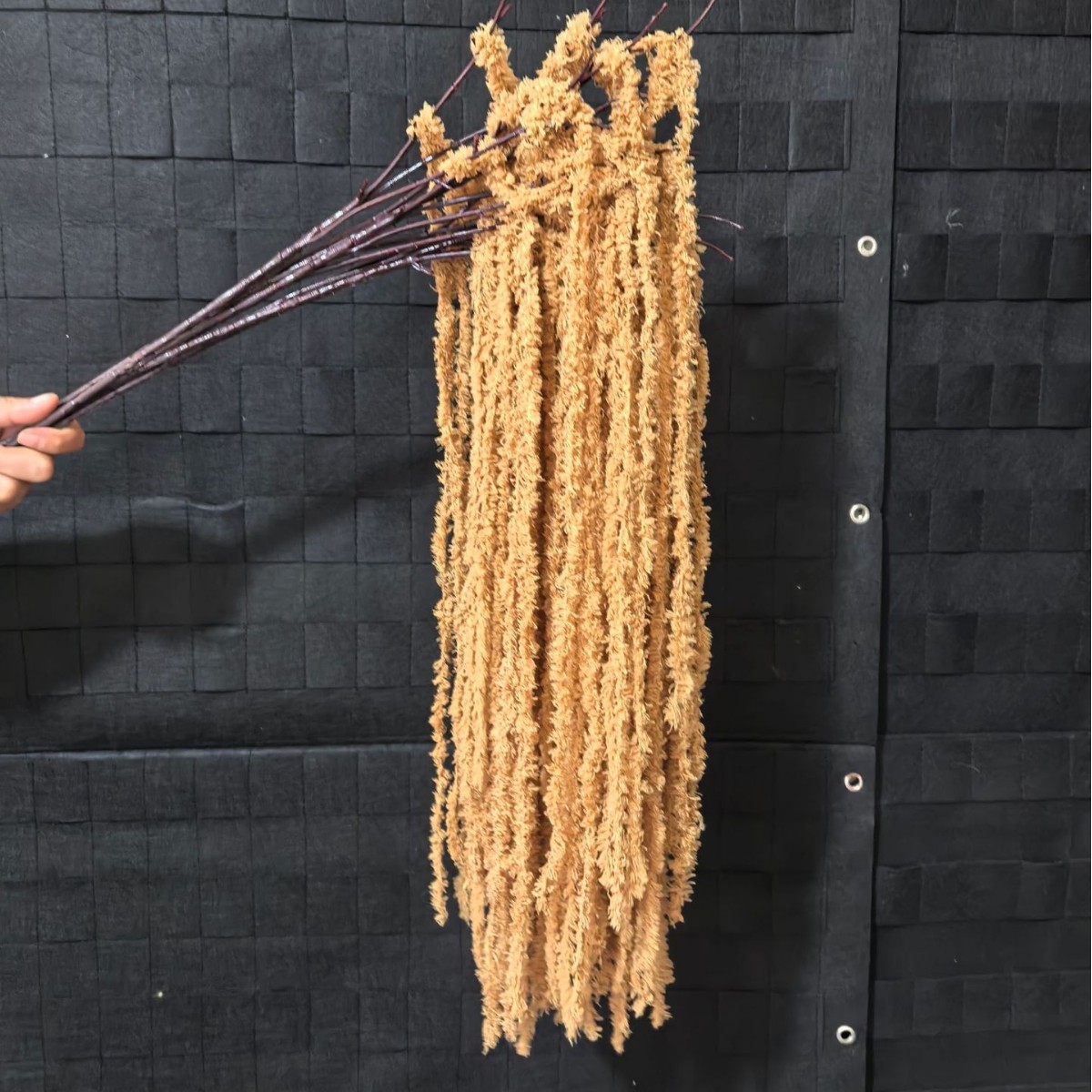 카라멜 색상