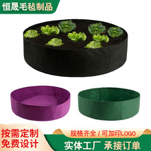 �A��ë��ֲ��NֲͰ�Nֲ���o����ë�ֈA��ֲ��Ͱ��������©�Ӻ�