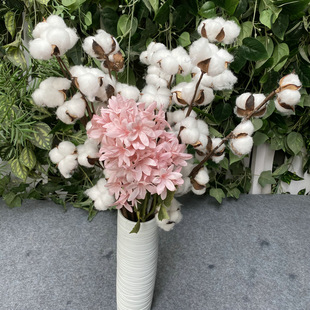 ֲ��ľ���޻�֦ DIY�����b��� 5�^7�^�ɻ��޻� �ٻ��zӰ����