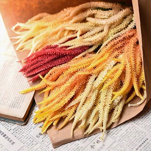 ���滨ëë�x�ٻ�����ֲ����쾰��ˇ�zӰ�����bҾӲ廨�[��