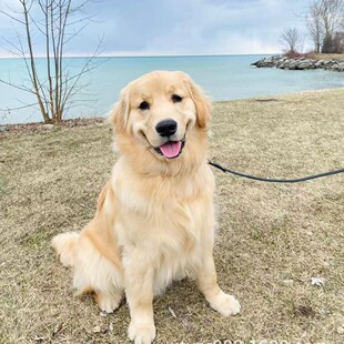 ���N��ë��Ȯ���w��Ǽ� ��ë���w������Ȯ ���B���^��ëȮ����