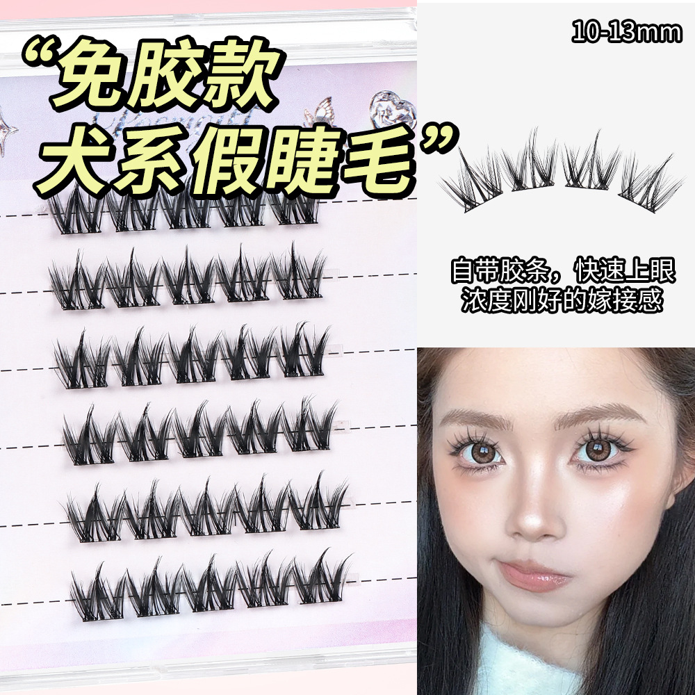 6 rows dog type (glue-free model)