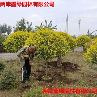 ���l�^���߷�֦���~�����л����Ͻ��~����@���o�¾G���ߗU���~��