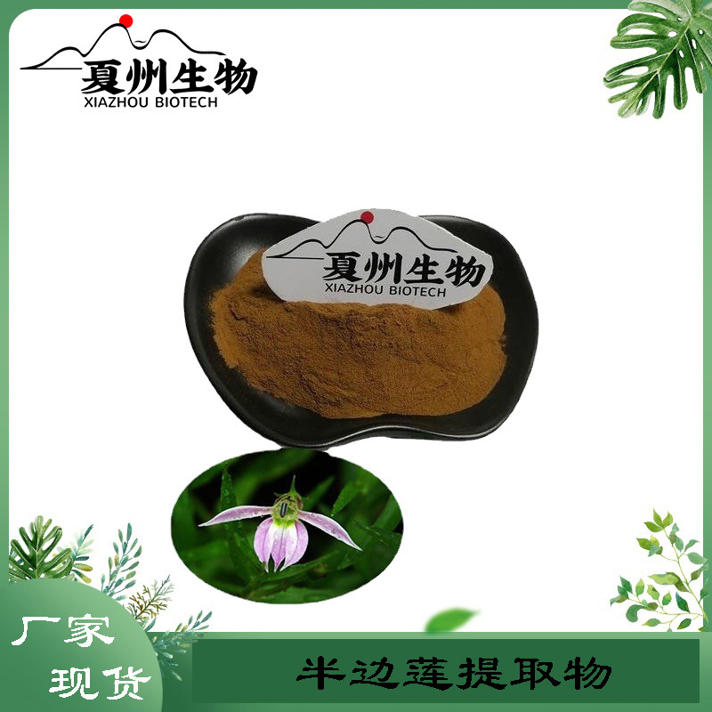 半边莲提取物 10/20/30/50:1   植物提取物  夏州生物 量大从优