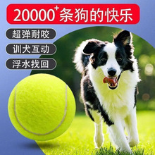 狗狗玩具球自嗨解闷神器宠物边牧金毛柯基耐咬球训练磨牙网球橡胶