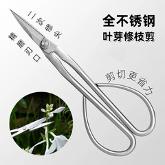 加厚长柄全不锈钢园艺修枝剪花艺叶芽剪插花盆景造型枝叶芽尖修剪