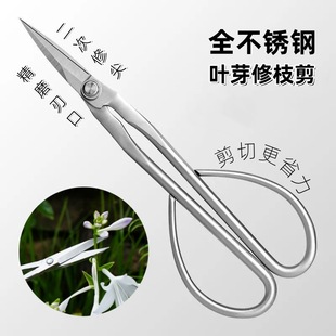 Thickened Long-Handled All-Stainless Steel Gardening Pruning Shears, Flower Art Leaf Bud Shears, Flower Arrangement Bonsai Styling Branches, Leaves and Bud Tips Pruning