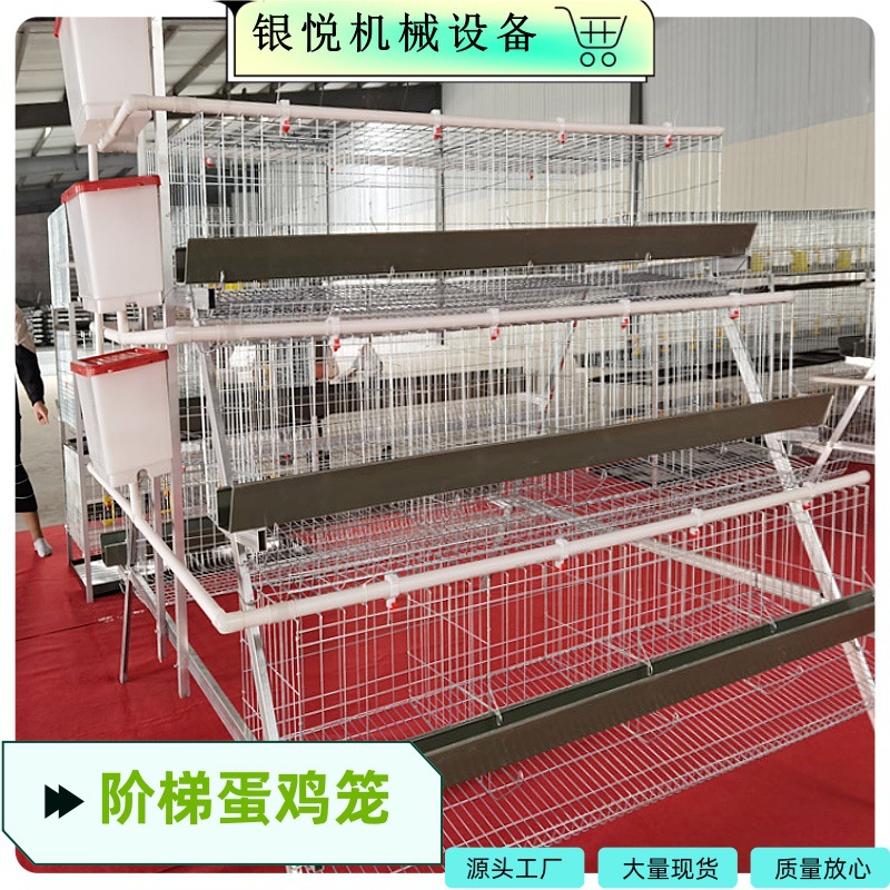 畜牧养殖 鸡笼  三层/四层/四门/五门绿槽/白槽    阶梯蛋鸡笼