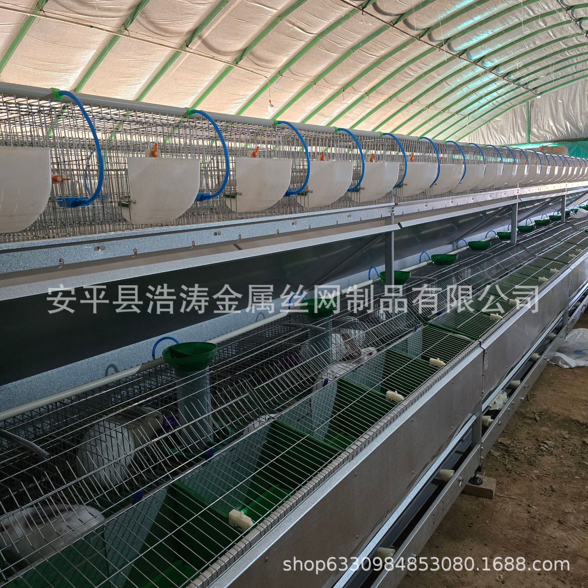 全自动清粪欧式兔舍 欧式子母兔笼 各种热镀兔子笼具24位欧式笼