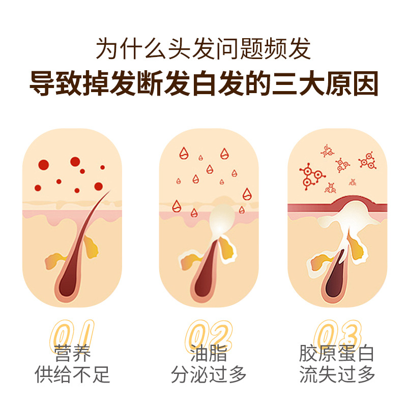 Hair nourishing, smoothing, dense hair controlling, oily hair shampoo wholesale.