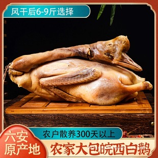 �������خa����������Z�r��ɢ�B�������Z�ֹ������D�Z�����L���Z