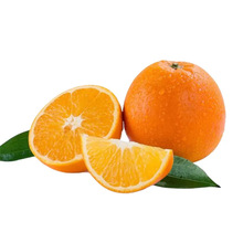 �ؑc�Ě�Ȯa��ֱ�l����ˮ�����Ӱ��]���rˮ��Ě��һ�����l