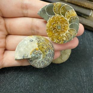 �ջ��ݰ߲��ݻ�ʯ����ԭʯ�[�����l �S�ҹ����ջ��ݔ[��