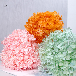 Hydrangea everlasting flowers wholesale Yunnan everlasting flowers dried flowers small leaves Anna hydrangea manufacturers wholesale bouquet gift box accessories