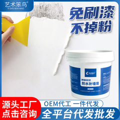 防水・防カビ壁補修ペースト、家庭用壁補修ペースト、穴・ひび・釘穴を補修する白いパテ粉、パテペースト