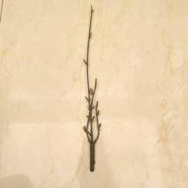 厂家批发仿真花枝配件 35CM小把束杆子 水族草网红盘式花装饰杆子
