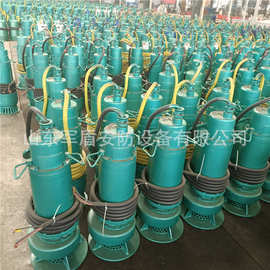 煤矿潜水渣浆泵隔爆型潜水泵 BQS220-220/4-220kw 防爆潜污泵660v