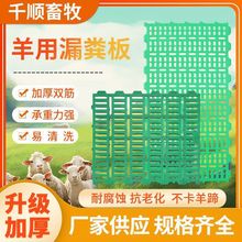羊用接粪板舍羊床羊圈养羊漏粪板塑料养殖设备加厚漏粪板养羊其他